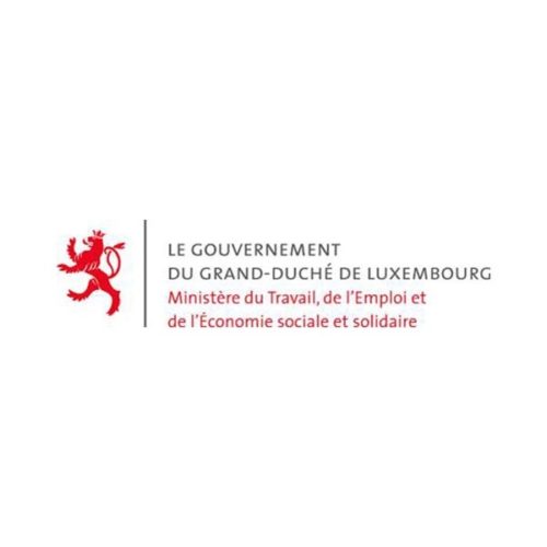 Ministère du travail et de l'emploi Consultis